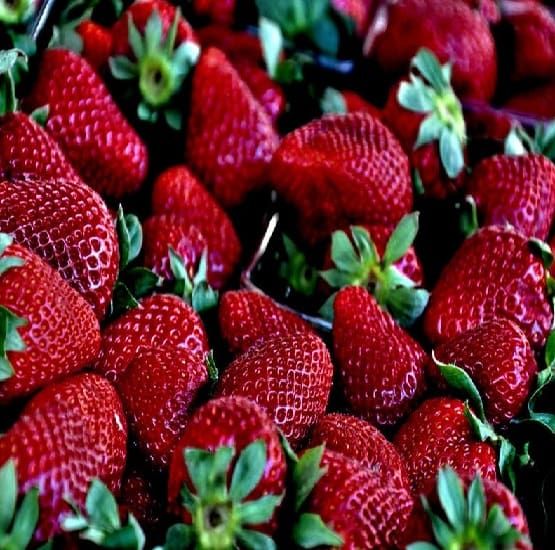 Fresh Strawberry