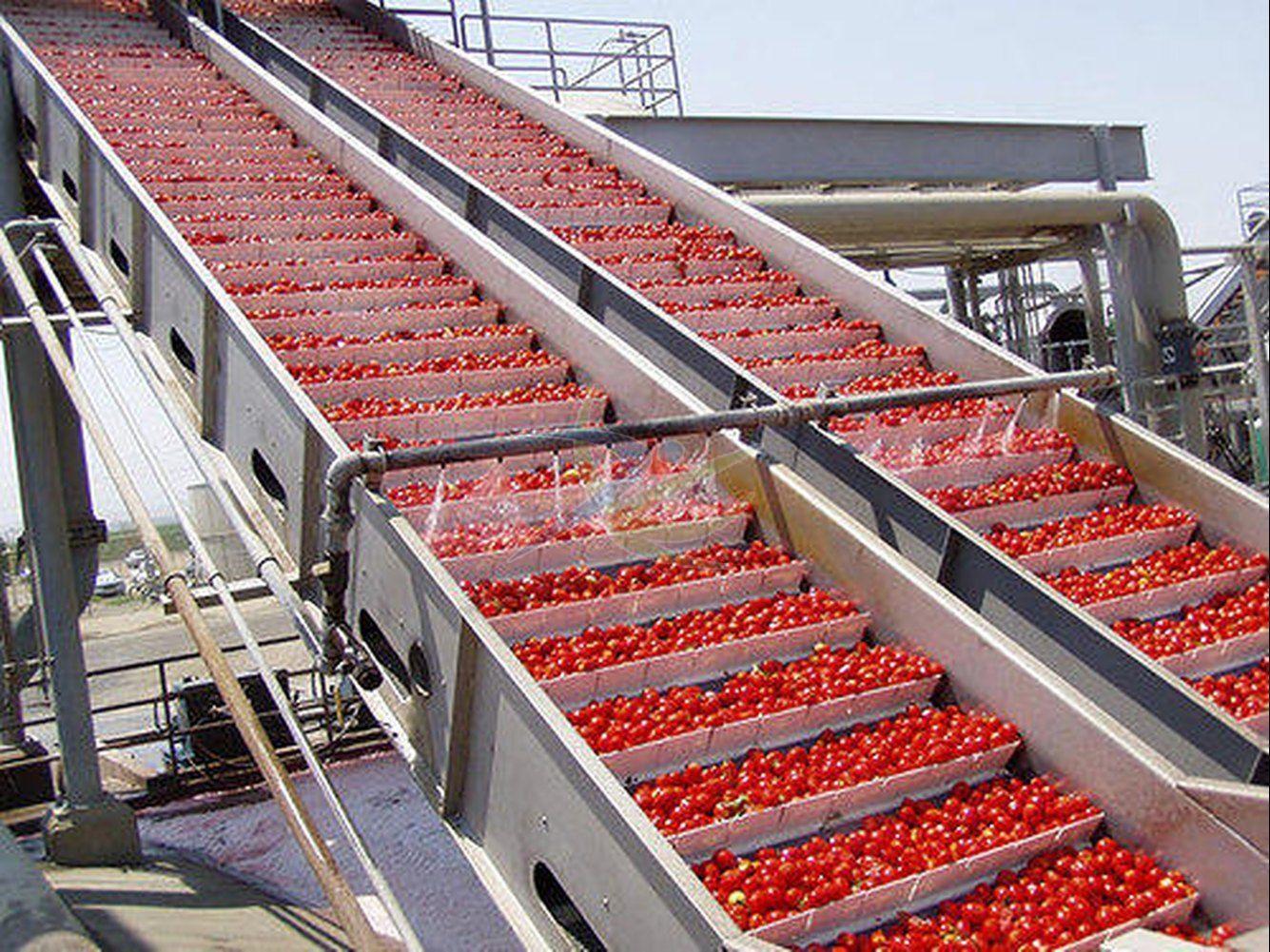 Tomato Processing Plant