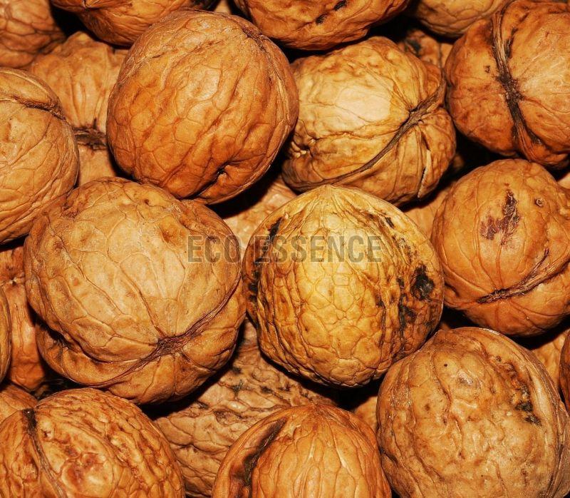 Shelled Walnuts