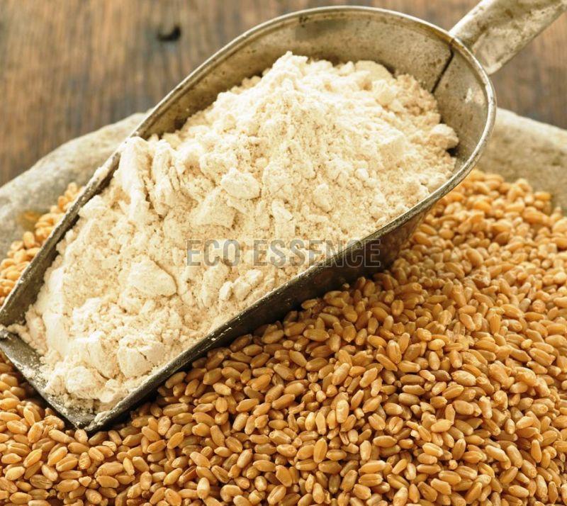 Grains & Flours