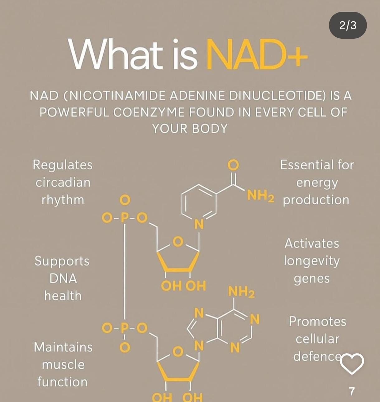 Nad Plus Injection Beta Nicotinamide Adenine Dinucleotide