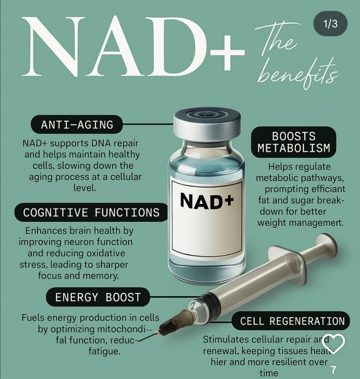 Nicotinamide Adenine Dinucleotide