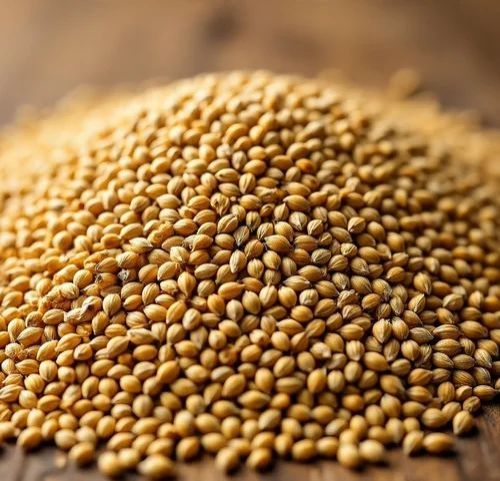 Foxtail Millets