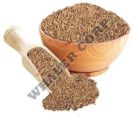 Cumin Seeds