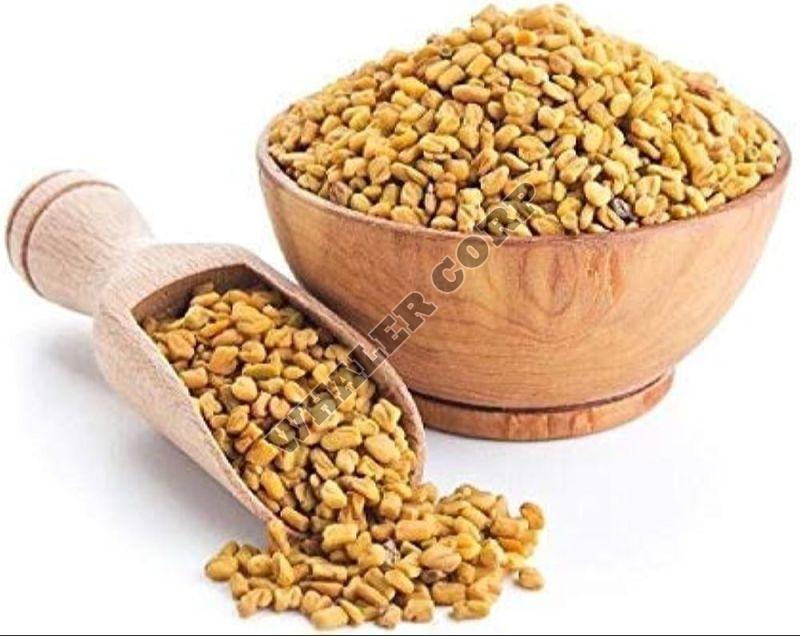 Fenugreek Seeds