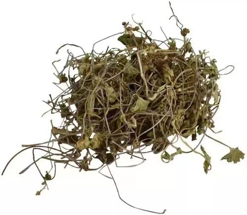 Natural Jal Brahmi Dry Plant