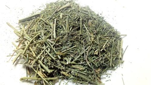 Swertia Chirata for Medicinal, Pharma