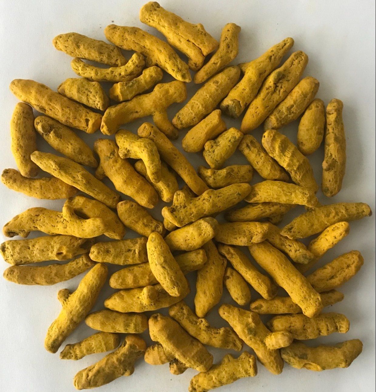 Turmeric Hybrid Finger