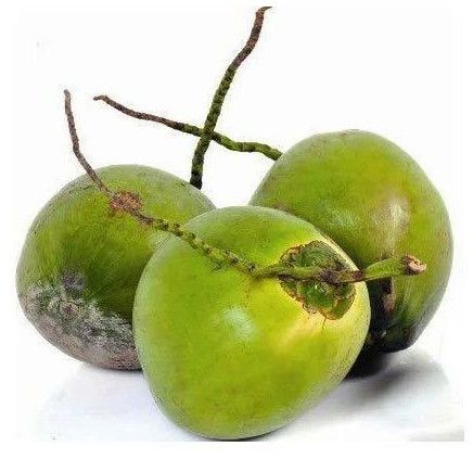A Grade Solid Green Tender Coconut