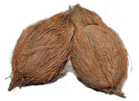 Semi Husked Coconut, Color : Brown