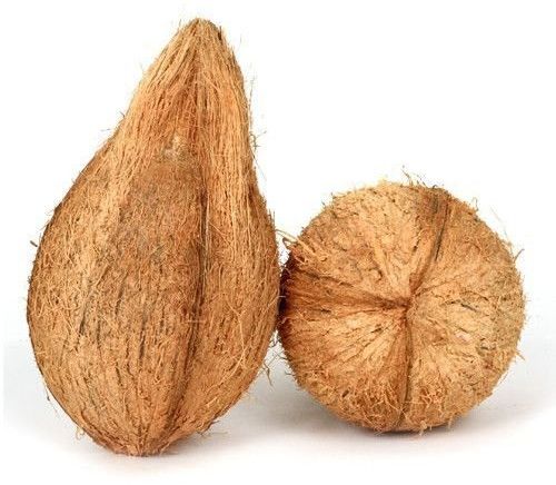 Semi Husked Coconut
