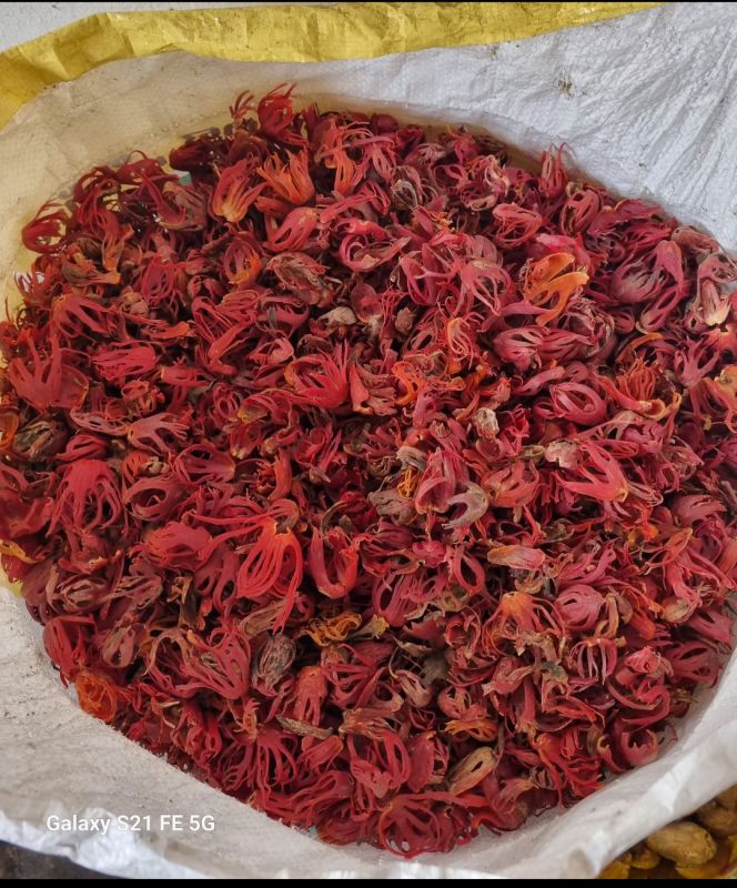 Red Nutmeg Mace Flower