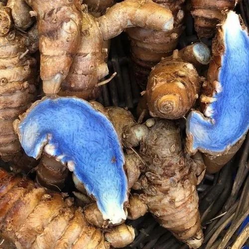 Black Dried Turmeric Finger, Certification : FSSAI for Food Medicine