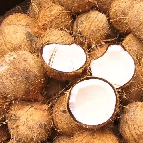 Semi Husked Coconuts, Color : Brown, White Medium To Large