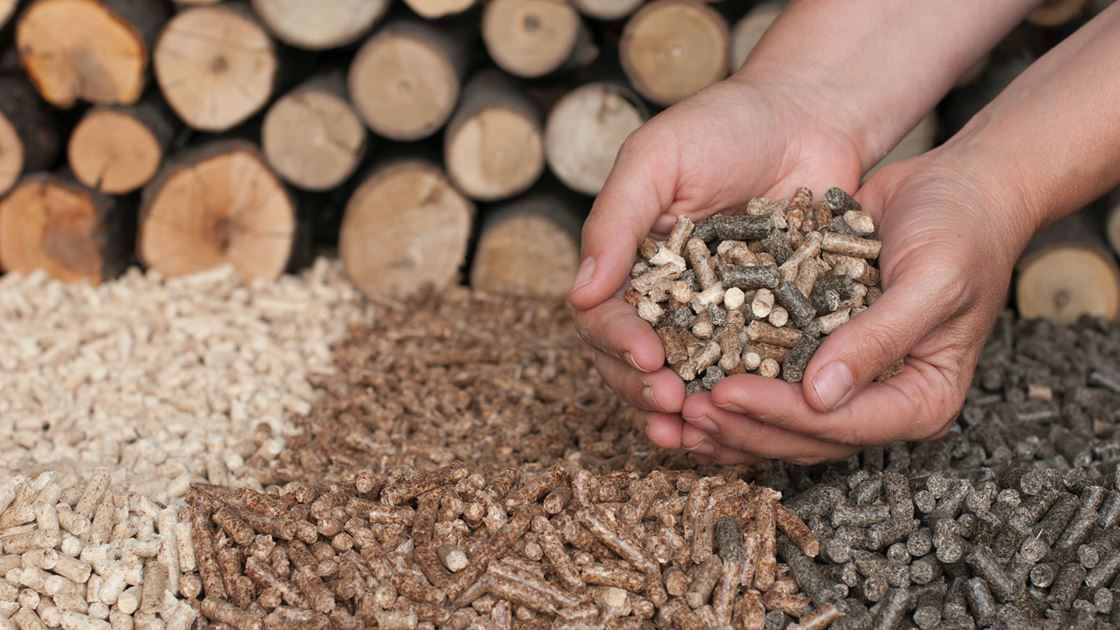 Sustainable Wood Biofuel Pellet