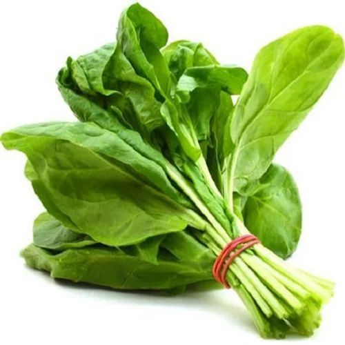 A Grade Fresh Green Spinach