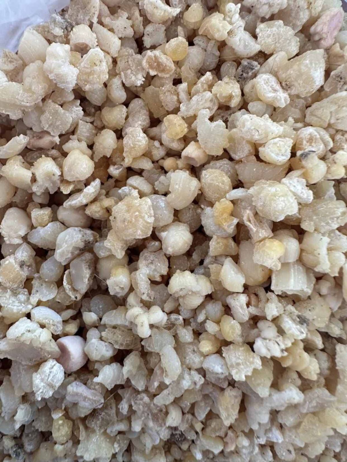 A Grade Asafoetida Crystal