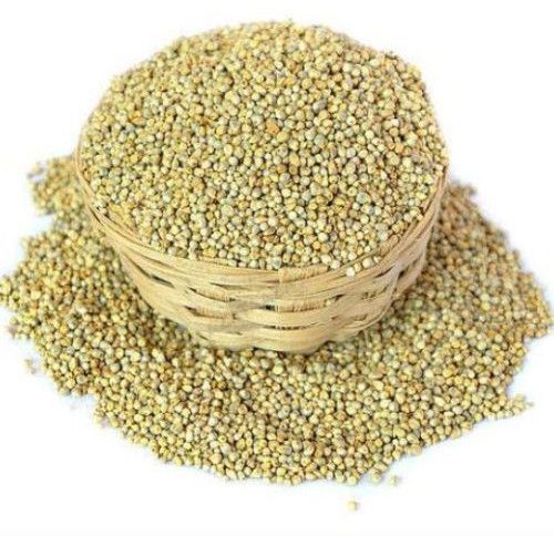 Organic Pearl Millet