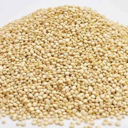 Organic Quinoa Seed