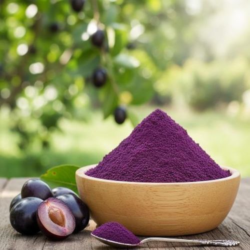 Spray Dried Jamun Powder