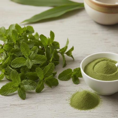 Spray Dried Mint Powder