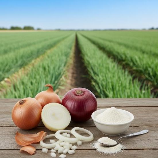 Spray Dried Onion Powder