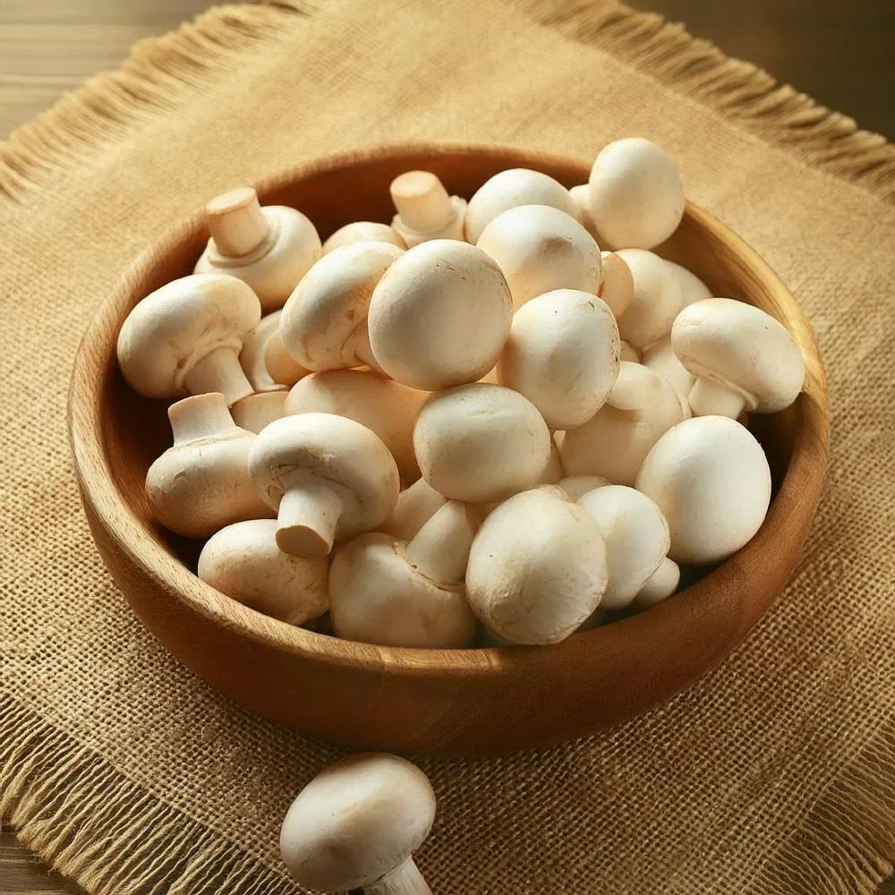 Fresh Button Mushroom