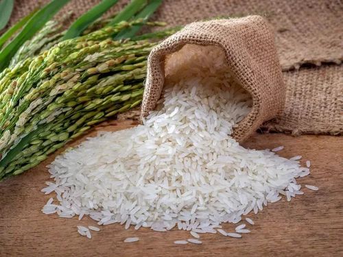 White Sella Basmati Rice, Packaging Type : Jute Bags for Cooking