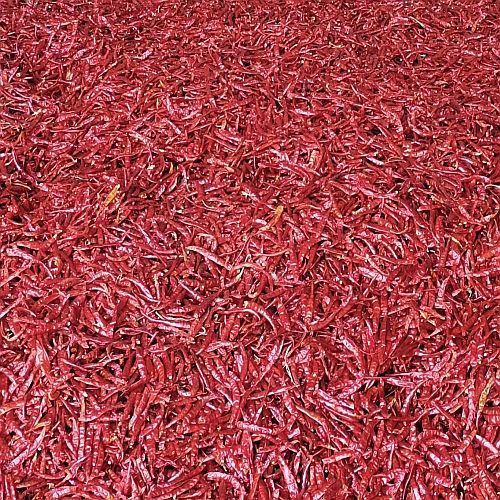 No 5 Guntur Dry Red Chilli
