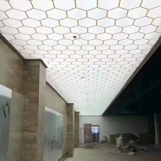 Stylish Stretch Ceiling Services