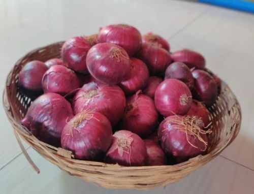 Bhima Shakti Late Kharif Red Onion, Packaging Type : Bag