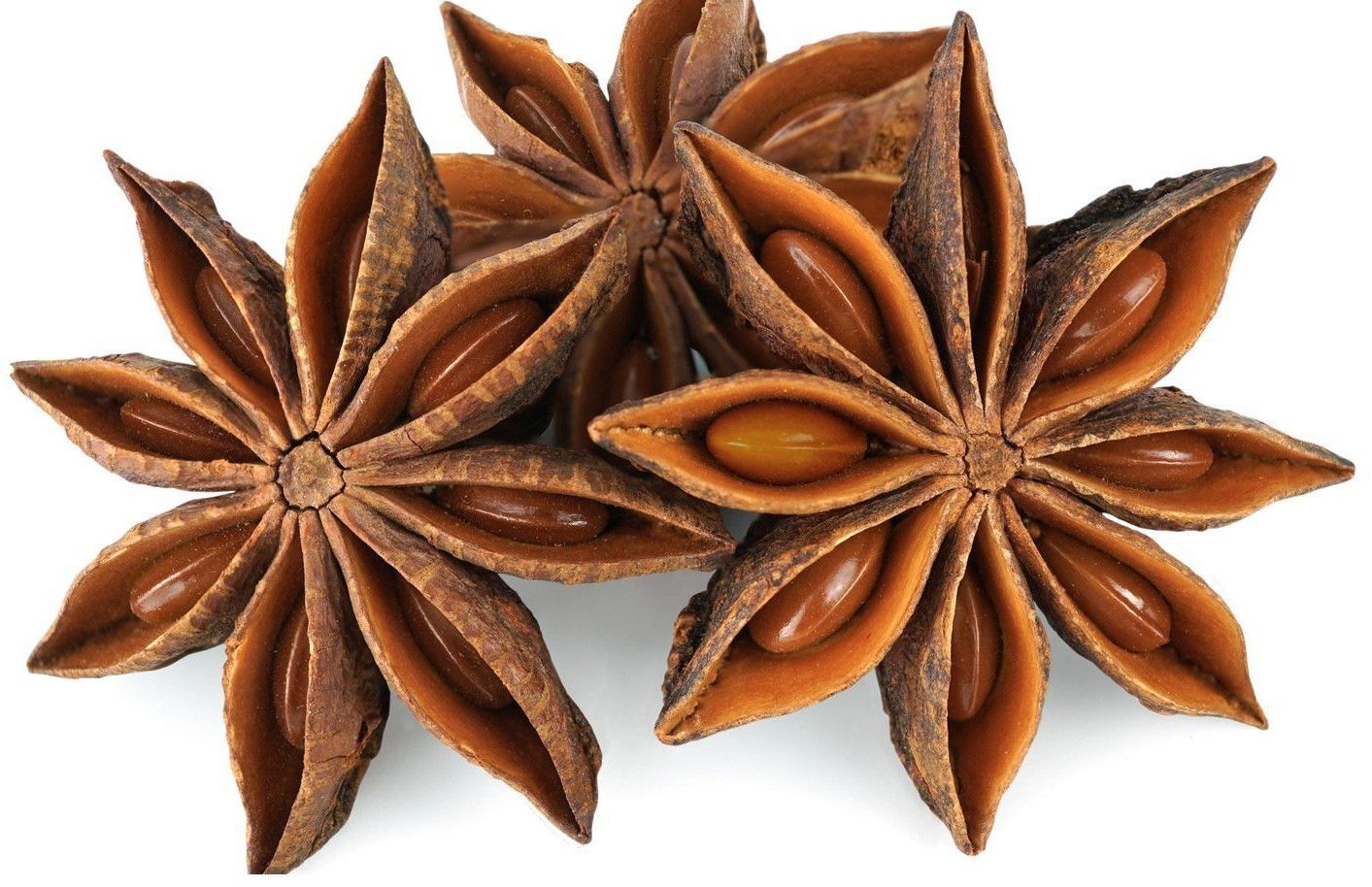 Natural Dried Star Anise