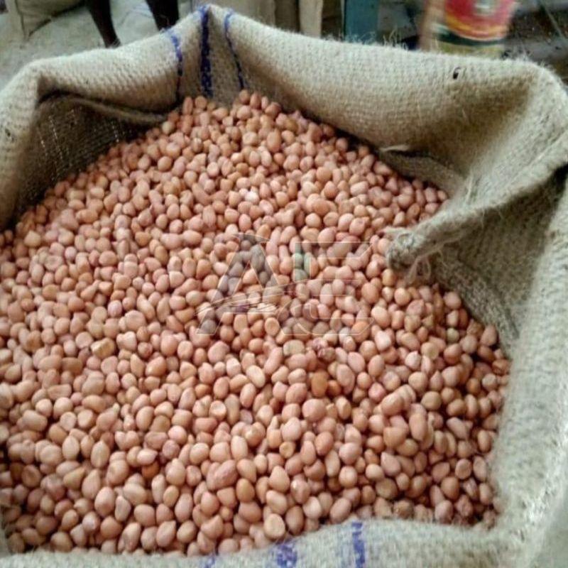 Groundnut Seeds