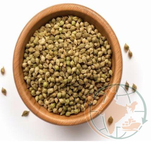 Coriander Seeds