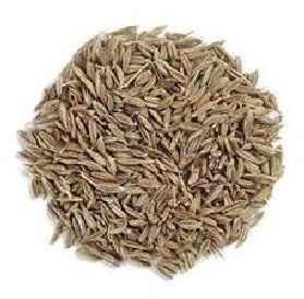 Cumin Seeds