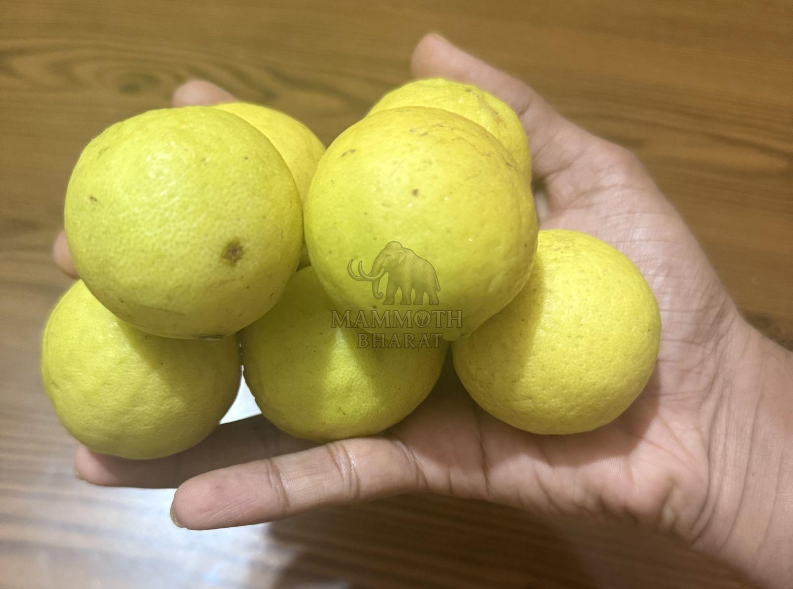 Yellow Lemons