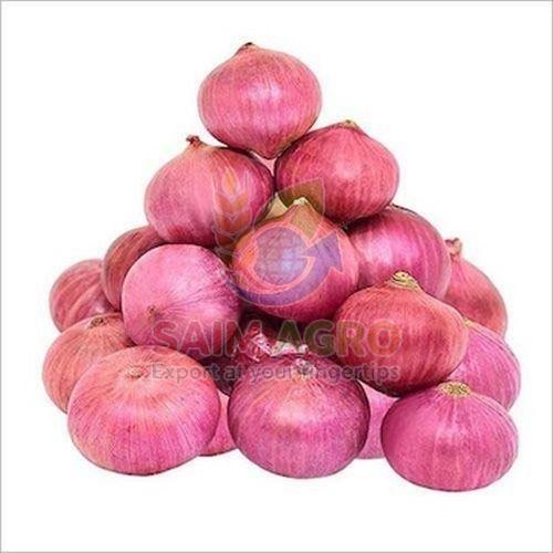 Fresh Pink Onion
