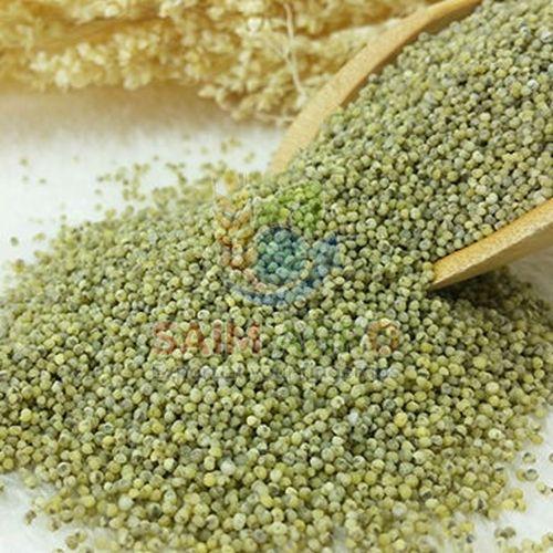 Green Millet Seeds