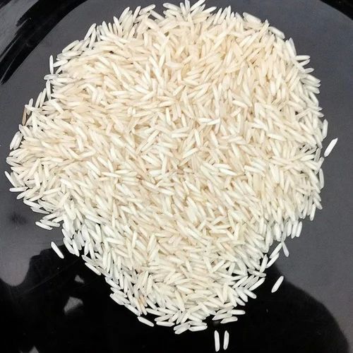 1509 Pusa Basmati Rice, Color : Cream for Cooking