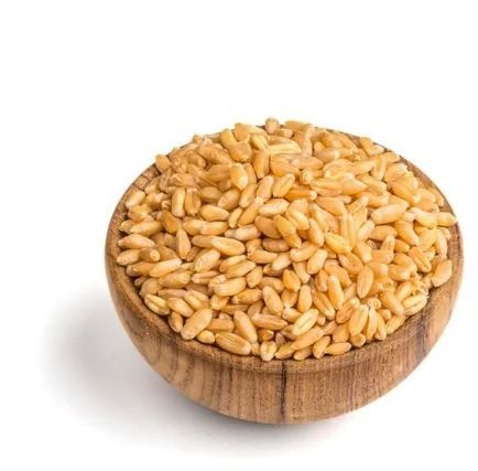 Durum Wheat Grain