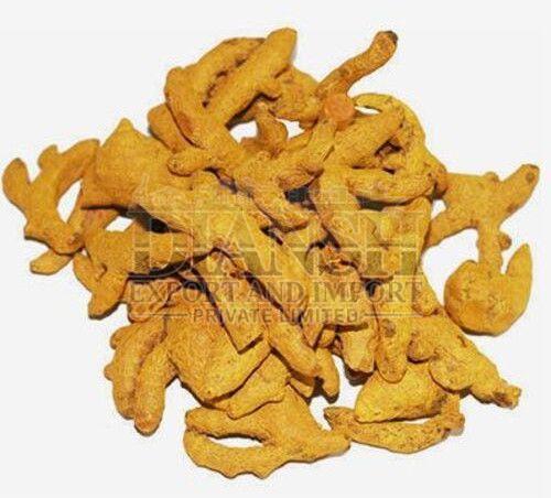 Guntur Turmeric Finger