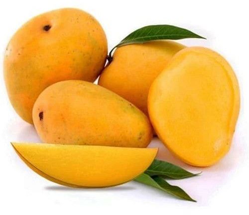 Fresh Alphonso Mango