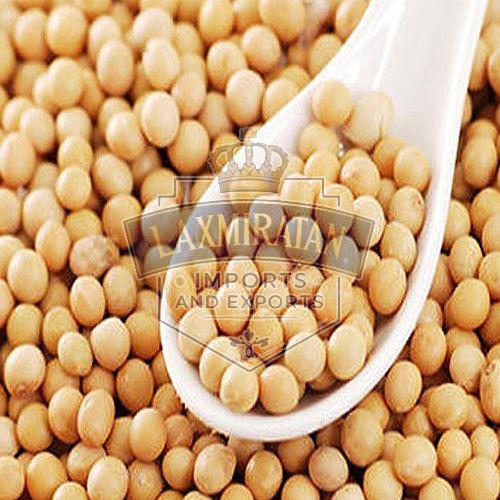High Protein Soybean Seeds
