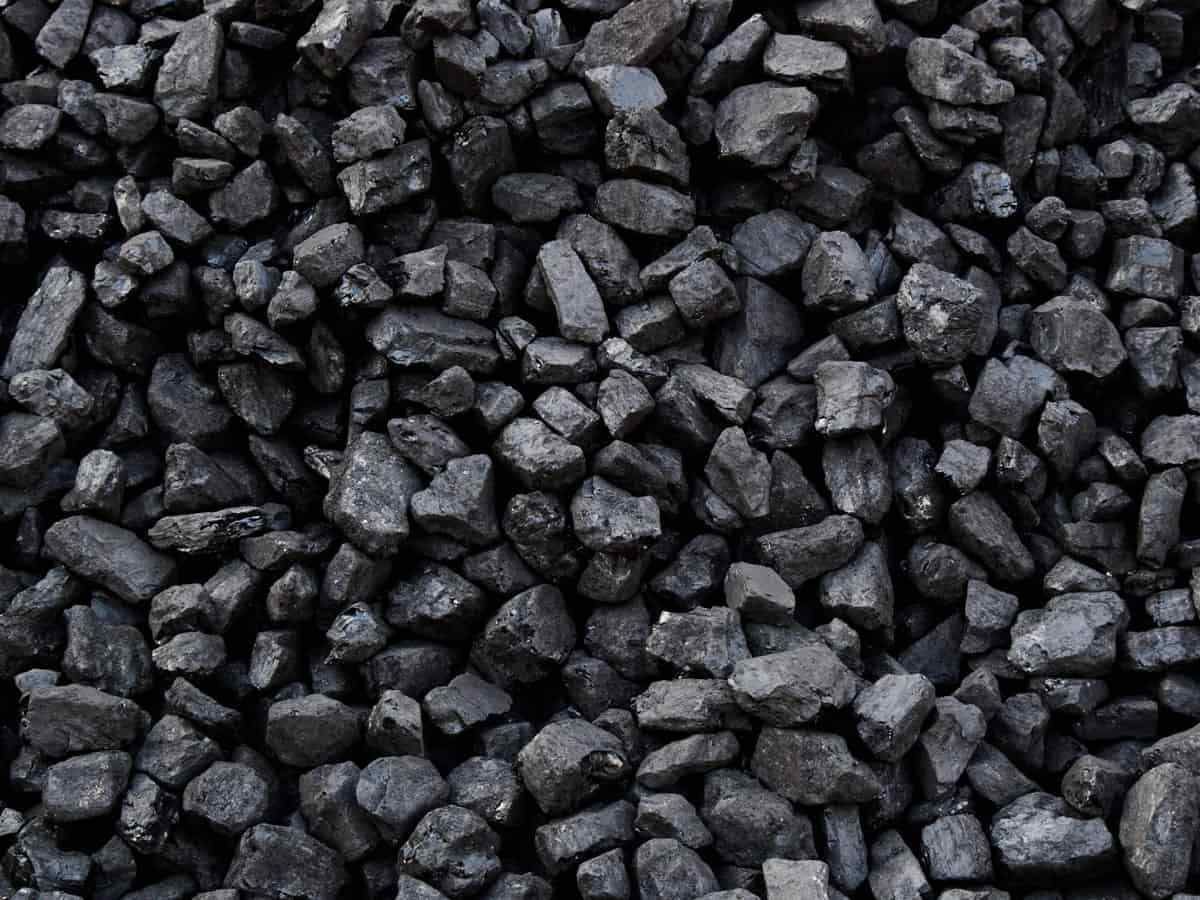Petroleum Coal