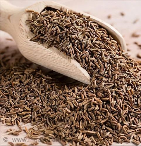 Fresh Farm Cumin Seeds