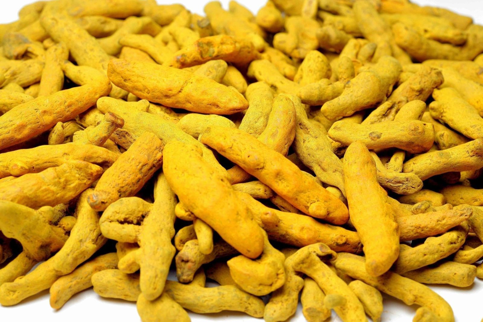 Strong Curcumin Turmeric Roots