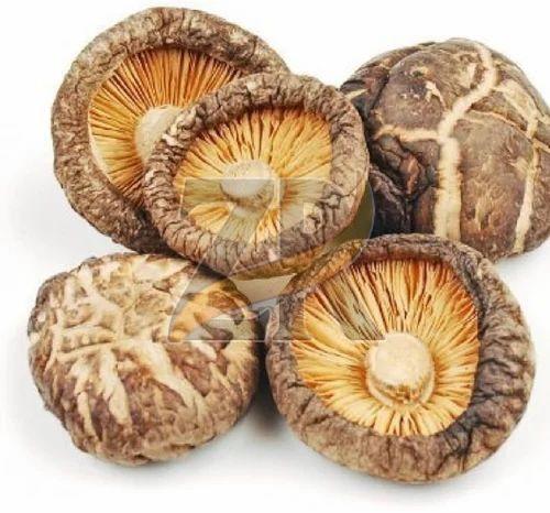 Dried Gourmet Shitake Mushroom