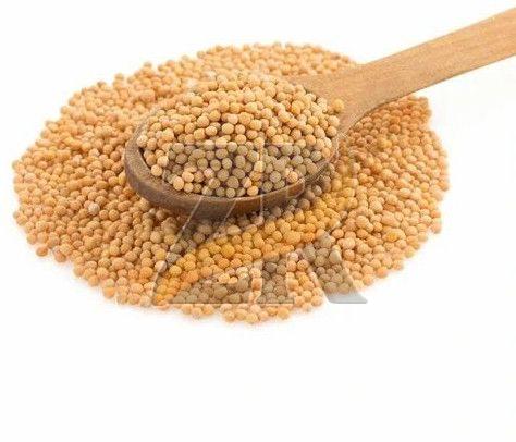 Natural Bold Mustard Seeds