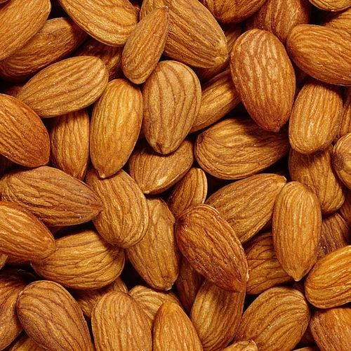 Premium Dry Fruits & Nuts
