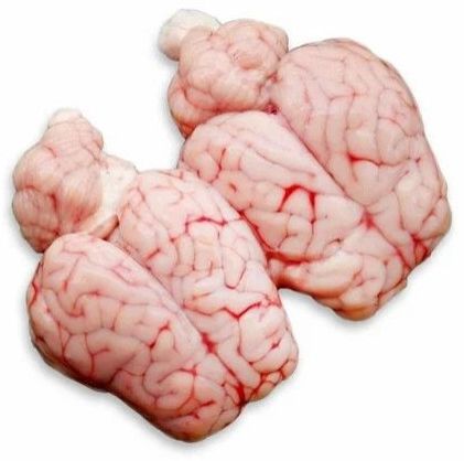 Frozen Goat Brain